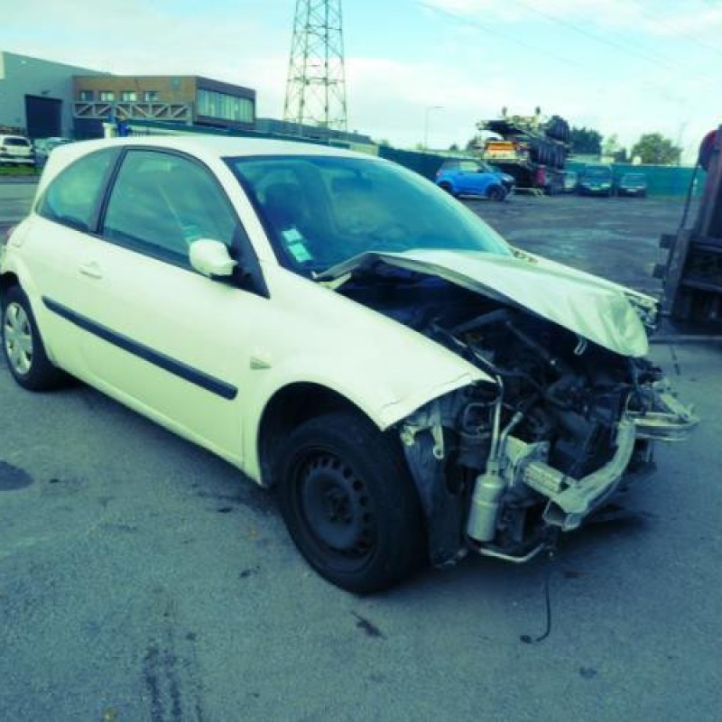 Porte avant droit RENAULT MEGANE 2 Photo n°6