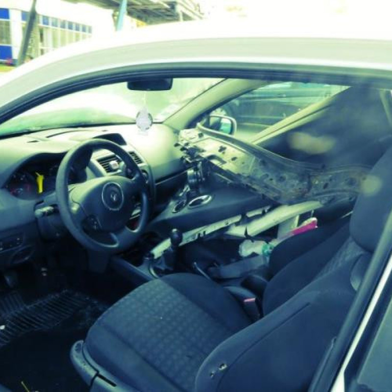 Porte avant droit RENAULT MEGANE 2 Photo n°9