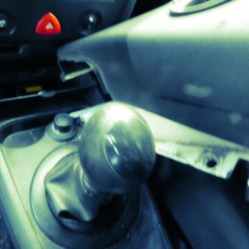 Porte avant droit RENAULT MEGANE 2 Photo n°11