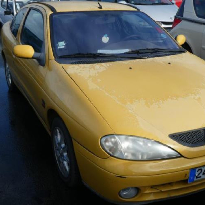 Porte avant droit RENAULT MEGANE 1 Photo n°9
