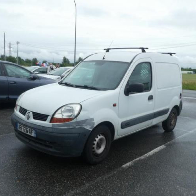 Porte de coffre droit RENAULT KANGOO 1 Photo n°3