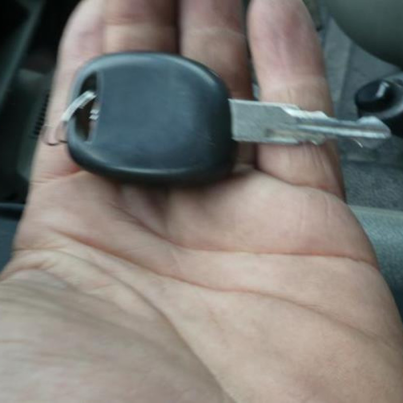 Porte de coffre droit RENAULT KANGOO 1 Photo n°10