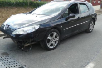 Malle/Hayon arriere PEUGEOT 407