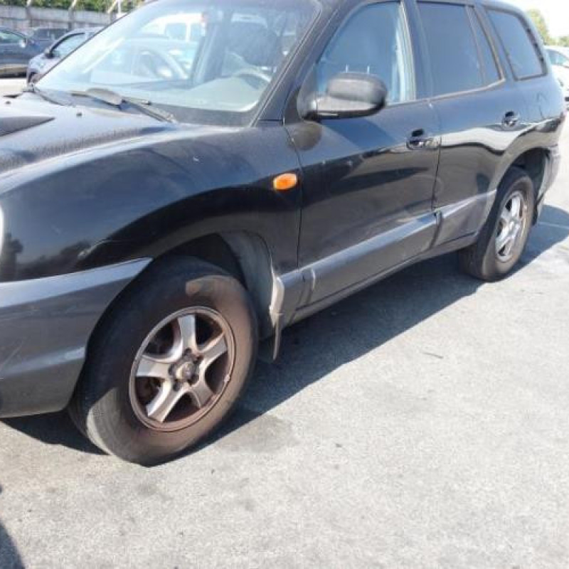 Porte avant gauche HYUNDAI SANTA FE 1 Photo n°3