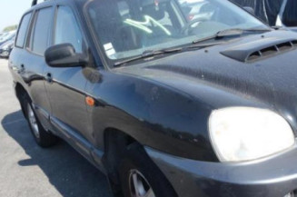 Porte avant gauche HYUNDAI SANTA FE 1