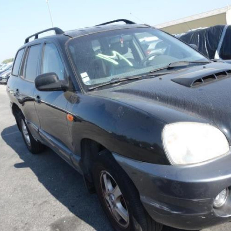 Porte avant gauche HYUNDAI SANTA FE 1 Photo n°4
