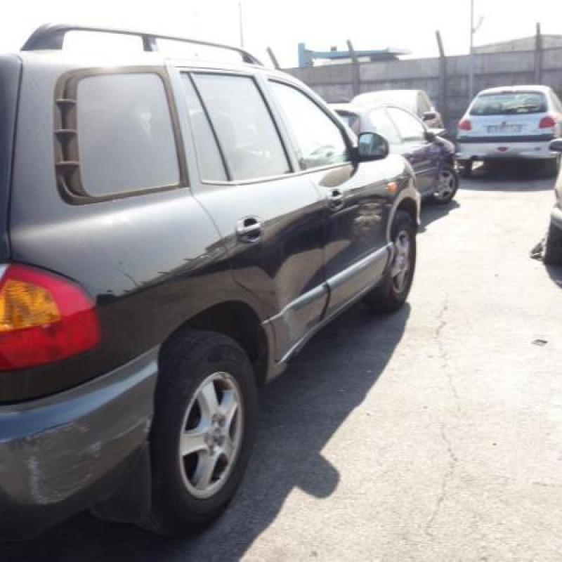 Porte avant gauche HYUNDAI SANTA FE 1 Photo n°5