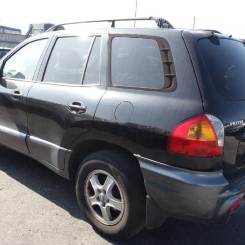 Porte avant gauche HYUNDAI SANTA FE 1 Photo n°6
