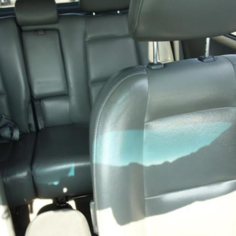 Porte avant gauche HYUNDAI SANTA FE 1 Photo n°9