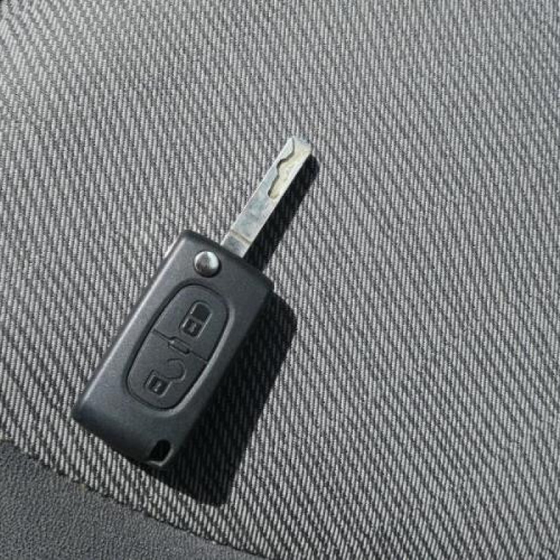 Malle/Hayon arriere CITROEN C3 1 Photo n°14