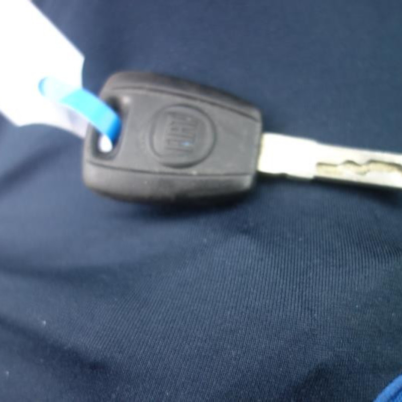 Porte arriere droit FIAT PANDA 2 Photo n°11