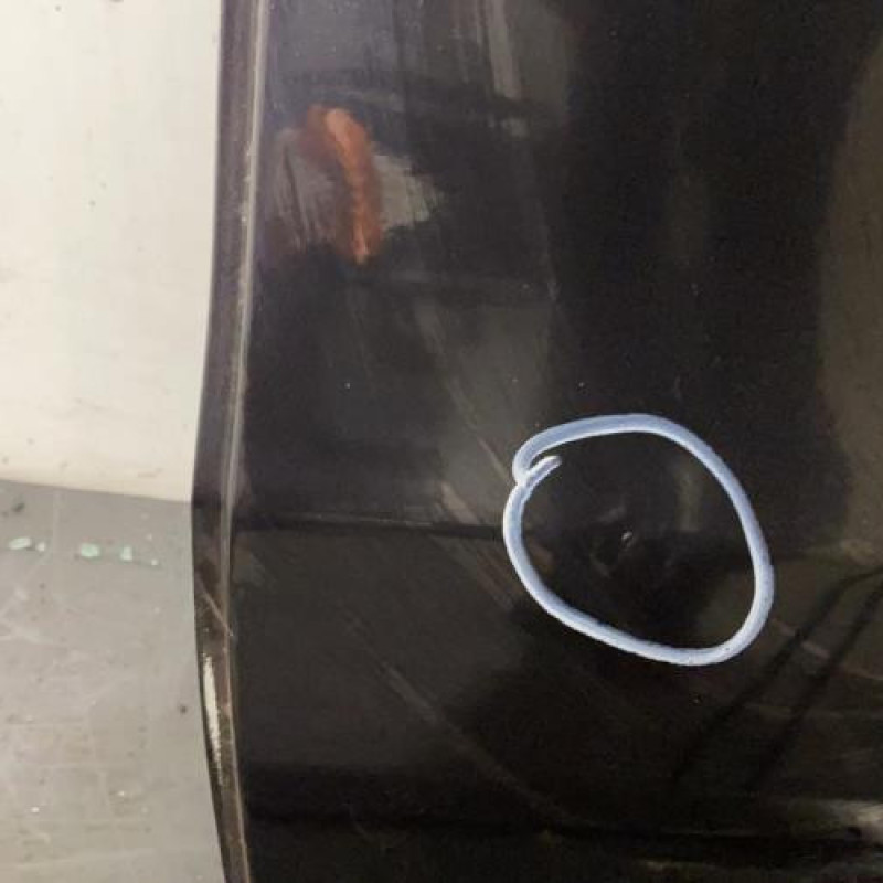 Porte arriere gauche FIAT PANDA 2 Photo n°2
