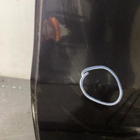 Porte arriere gauche FIAT PANDA 2