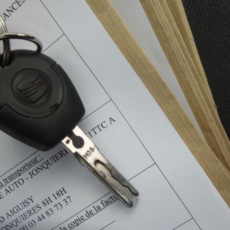Porte arriere droit SEAT TOLEDO 2 Photo n°12