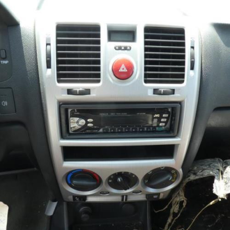 Porte arriere gauche HYUNDAI GETZ Photo n°11