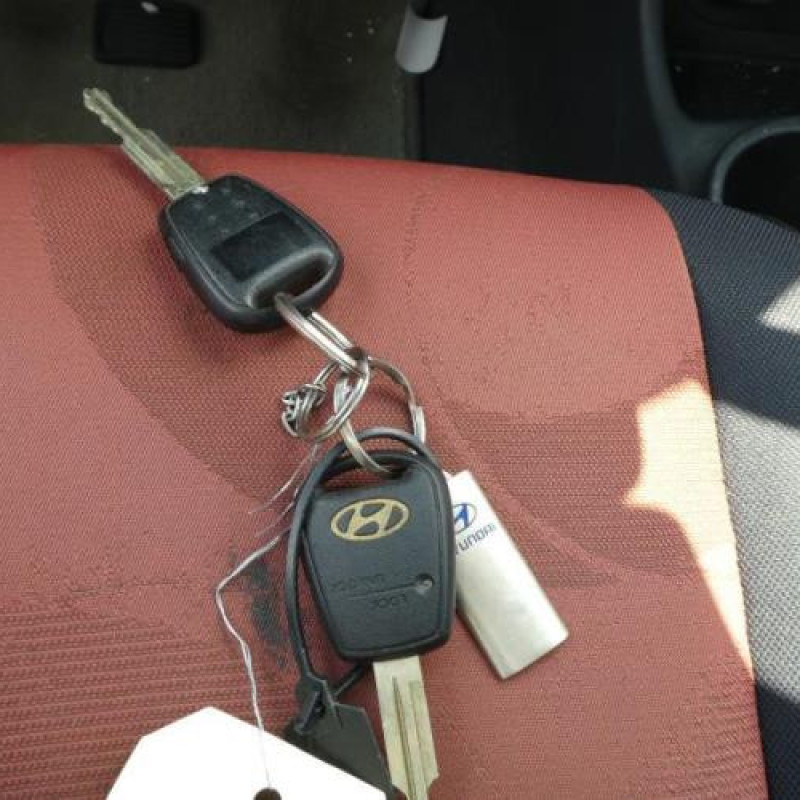 Porte arriere gauche HYUNDAI GETZ Photo n°14