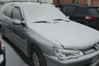 Malle/Hayon arriere PEUGEOT 306