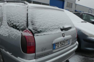 Malle/Hayon arriere PEUGEOT 306