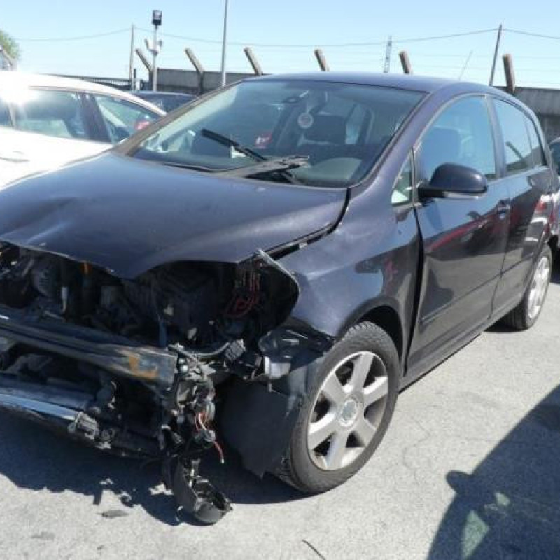 Porte arriere droit VOLKSWAGEN GOLF PLUS Photo n°4