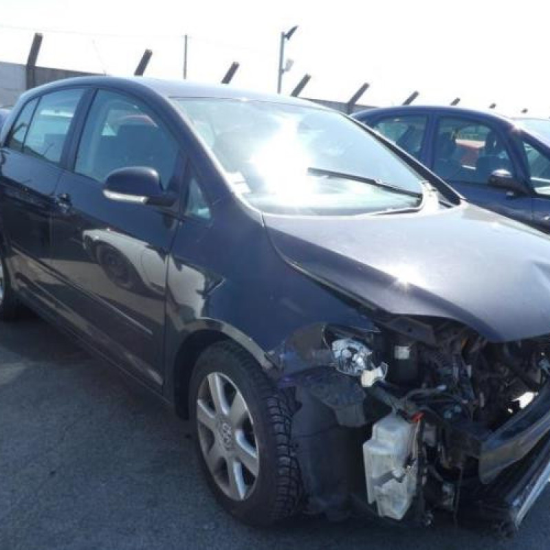 Porte arriere droit VOLKSWAGEN GOLF PLUS Photo n°5