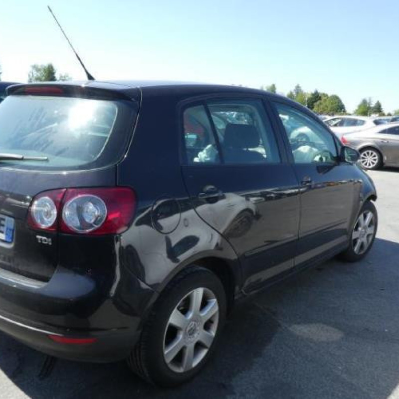 Porte arriere droit VOLKSWAGEN GOLF PLUS Photo n°6