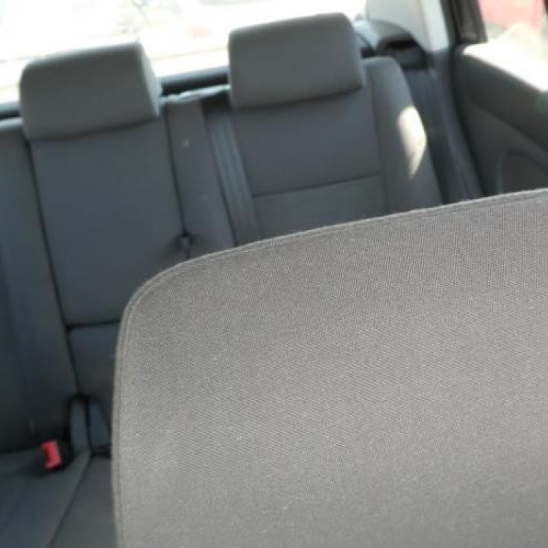 Porte arriere droit VOLKSWAGEN GOLF PLUS Photo n°9