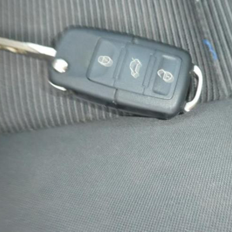 Porte arriere droit VOLKSWAGEN GOLF PLUS Photo n°13