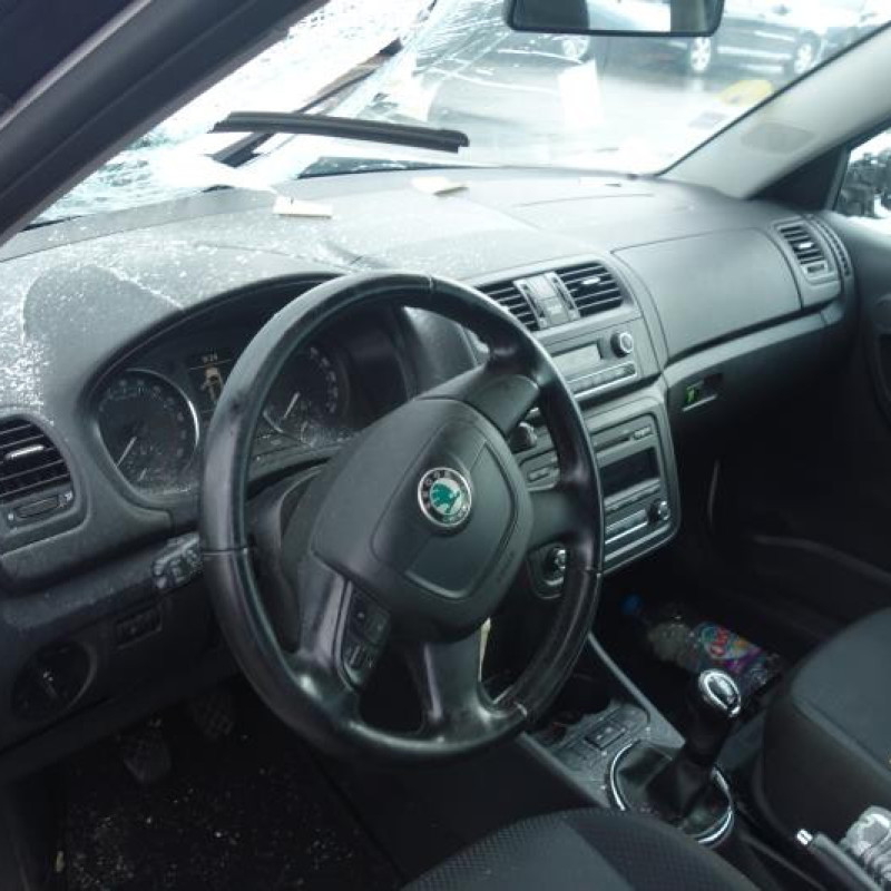 Porte avant droit SKODA FABIA 2 Photo n°5