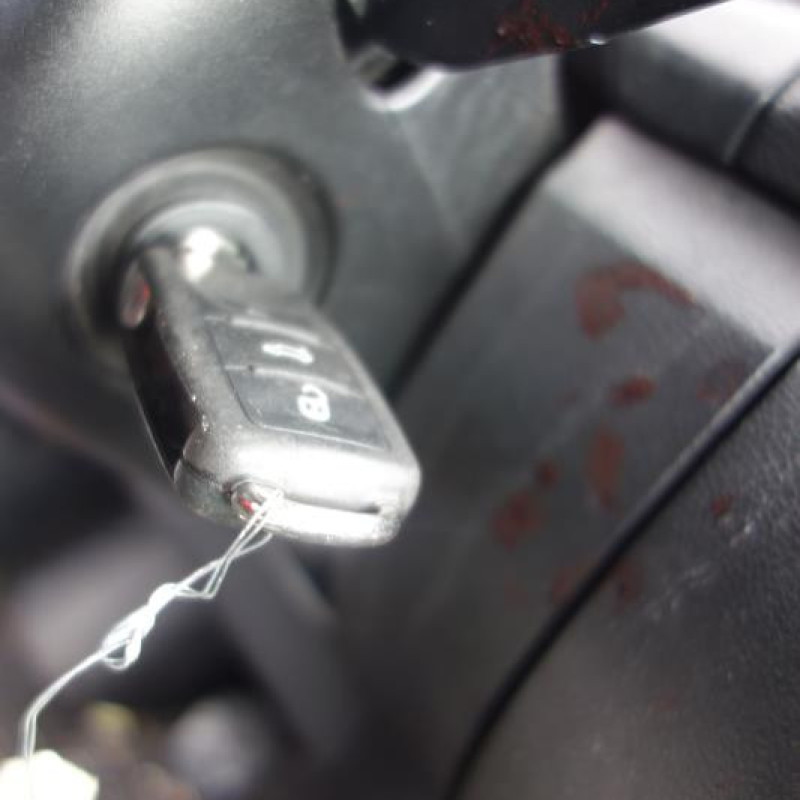 Porte avant droit SKODA FABIA 2 Photo n°9