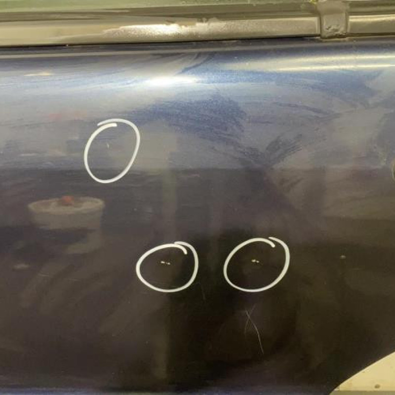 Porte arriere gauche MERCEDES CLASSE M 163 Photo n°2