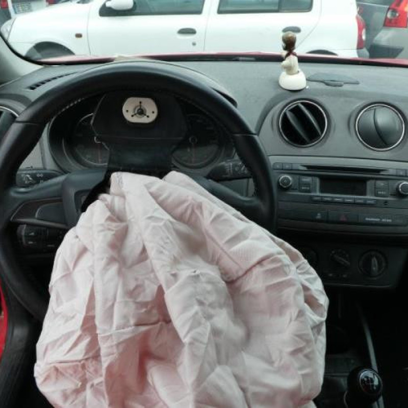 Alternateur SEAT IBIZA 4 Photo n°10