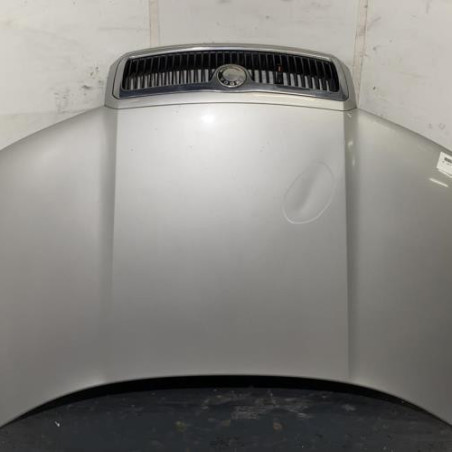 Capot SKODA FABIA 1 Photo n°1