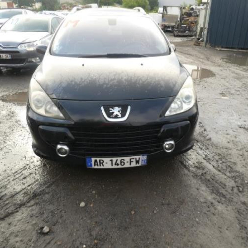 Porte arriere gauche PEUGEOT 307 Photo n°3