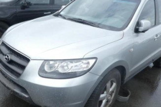 Porte avant gauche HYUNDAI SANTA FE 2