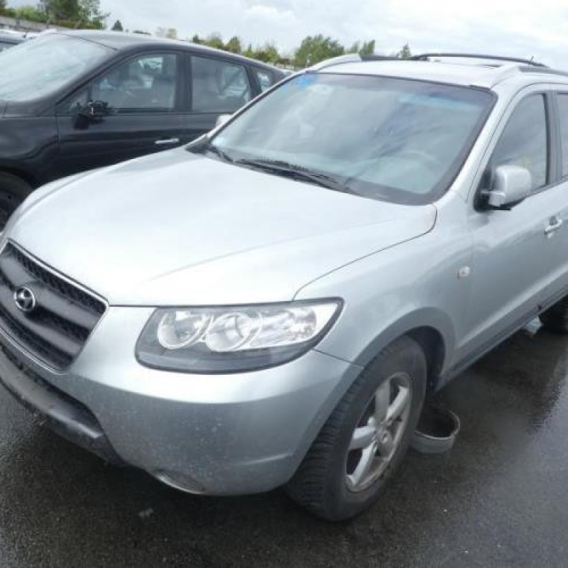 Porte avant gauche HYUNDAI SANTA FE 2 Photo n°3