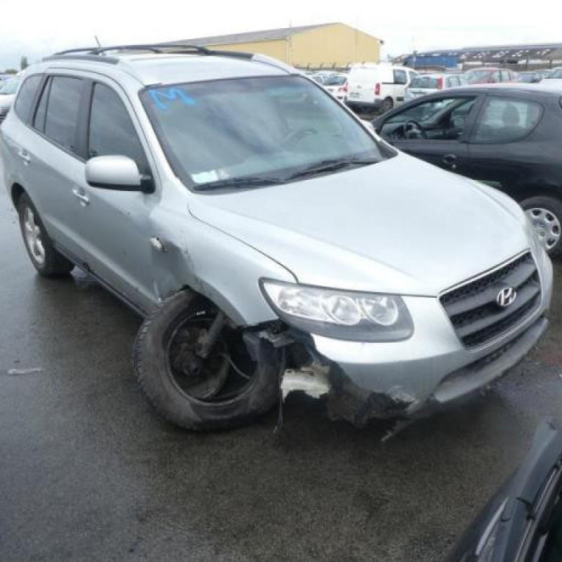 Porte avant gauche HYUNDAI SANTA FE 2 Photo n°4