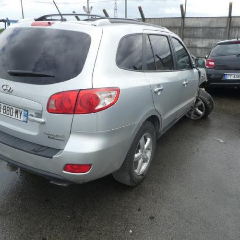 Porte avant gauche HYUNDAI SANTA FE 2 Photo n°5