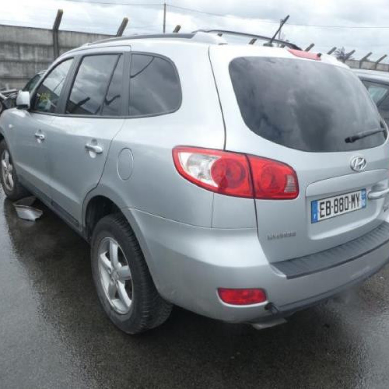 Porte avant gauche HYUNDAI SANTA FE 2 Photo n°6