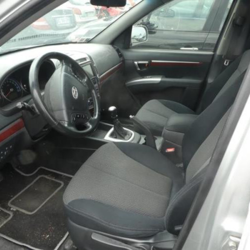 Porte avant gauche HYUNDAI SANTA FE 2 Photo n°7