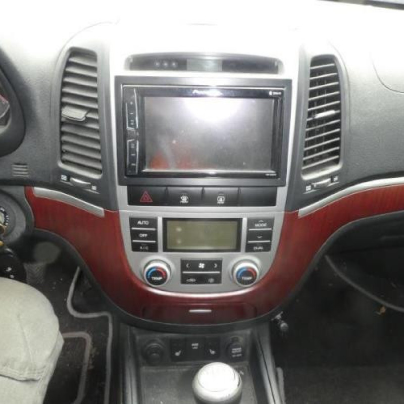 Porte avant gauche HYUNDAI SANTA FE 2 Photo n°9