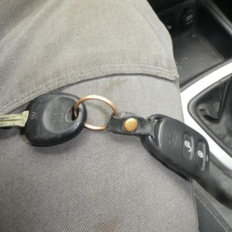 Porte avant gauche HYUNDAI SANTA FE 2 Photo n°11