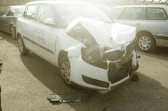 Porte arriere droit SKODA FABIA 2