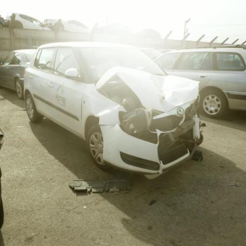 Porte arriere droit SKODA FABIA 2 Photo n°4