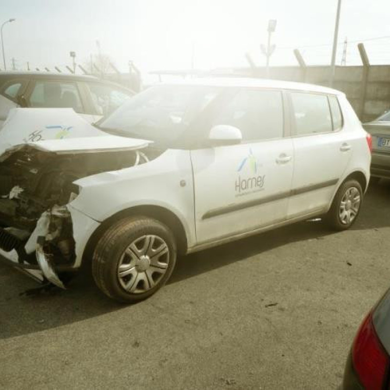 Porte arriere droit SKODA FABIA 2 Photo n°5