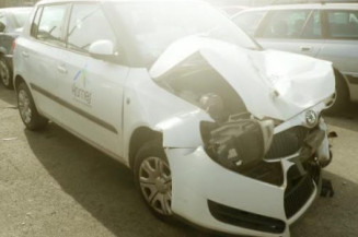 Porte arriere droit SKODA FABIA 2