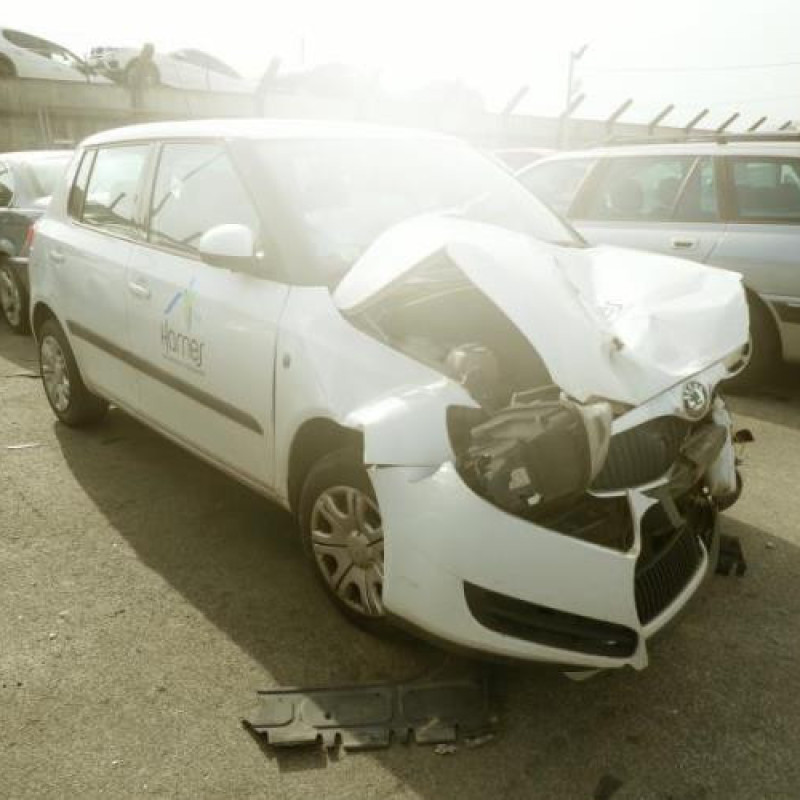 Porte arriere droit SKODA FABIA 2 Photo n°6