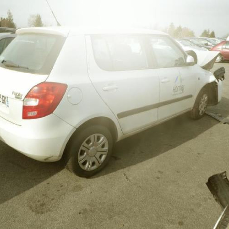 Porte arriere droit SKODA FABIA 2 Photo n°7