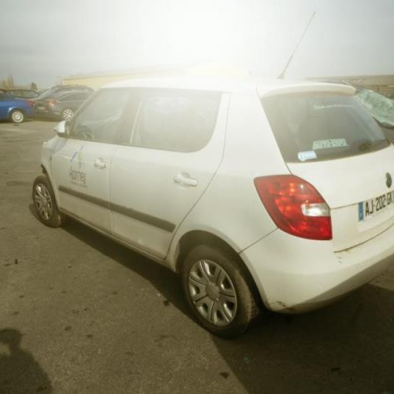 Porte arriere droit SKODA FABIA 2 Photo n°8