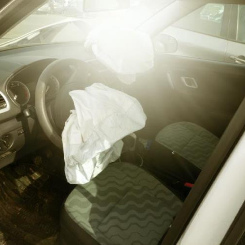 Porte arriere droit SKODA FABIA 2 Photo n°9