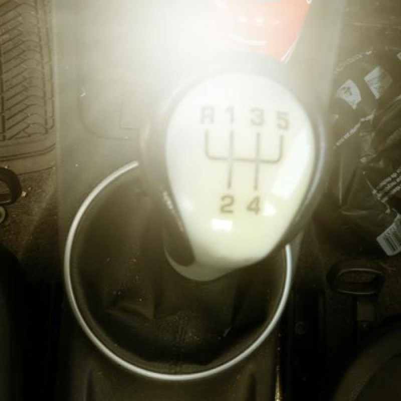 Porte arriere droit SKODA FABIA 2 Photo n°10